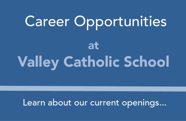Career Opportunities at VCS